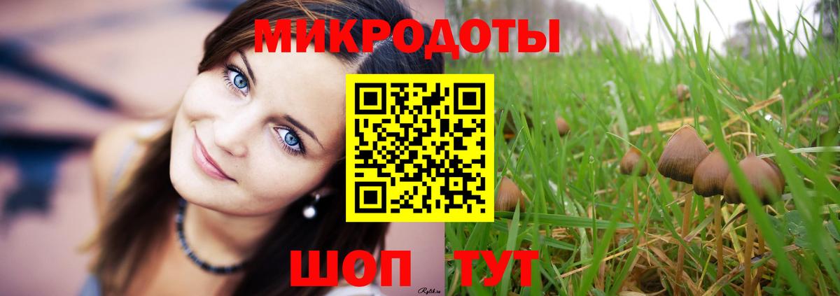 Псилоцибиновые грибы прущие грибы  Вход с VPN  даркнет сайт  Галлюциногенные грибы MAGIC MUSHROOMS  Алапаевск 