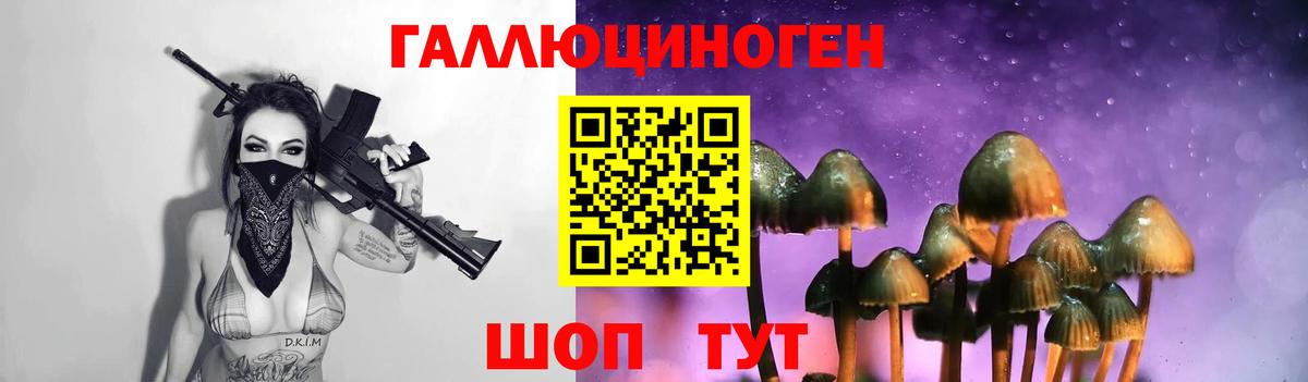 Галлюциногенные грибы Cubensis Алапаевск