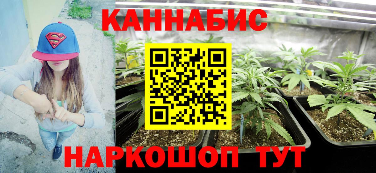 Алапаевск  Конопля VHQ  Бошки марихуана MAZAR  Бошки марихуана White Widow  Вход с VPN 